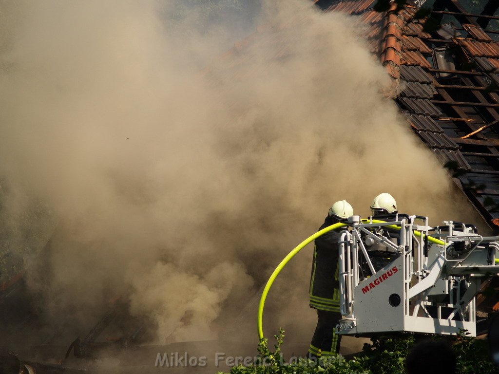 Brand Schuetzenhof Neusser Landstr P5978.JPG